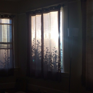 Al—中国女明星
