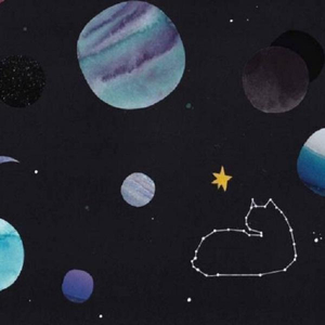 Al—中国女明星
