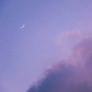 Al—中国女明星
